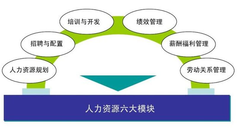 代缴社保，收费标准如何确定？**