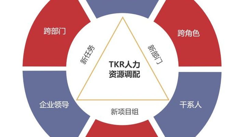 灵活用工方案对比评测